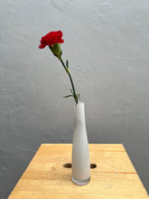 Single Stalk Carnation